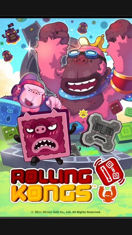 Rolling Kongs