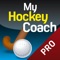 In this version of MyFieldHockeyCoach you (or anyone else) can keep statistics of the players during the match in such a way that you are not hindered in the coaching