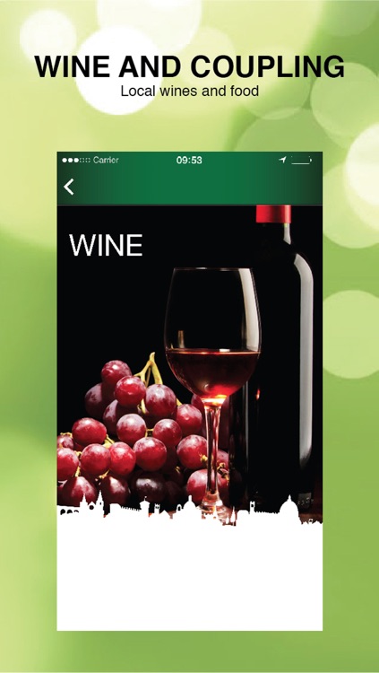 Wine and Food road of Garda screenshot-4