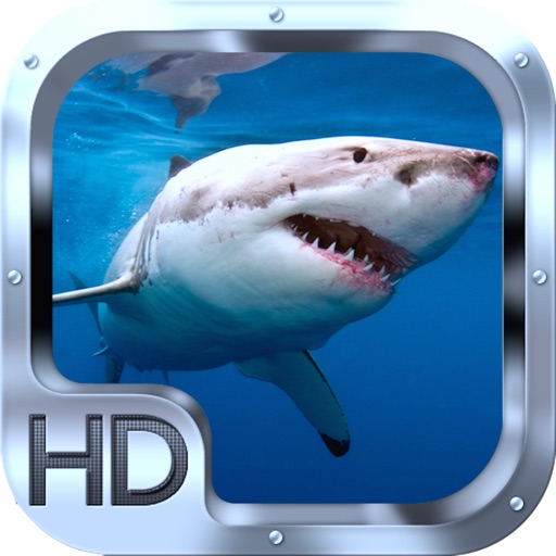 Shark Rampage Revenge icon