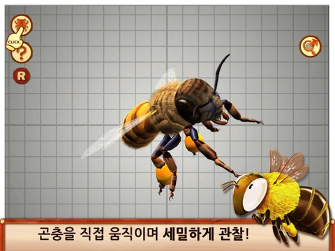 하늘의 곤충친구들(무료) screenshot 2