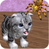 Cu Cat Big Bug Adventure Time Cu Cat Big Bug Adventure Time