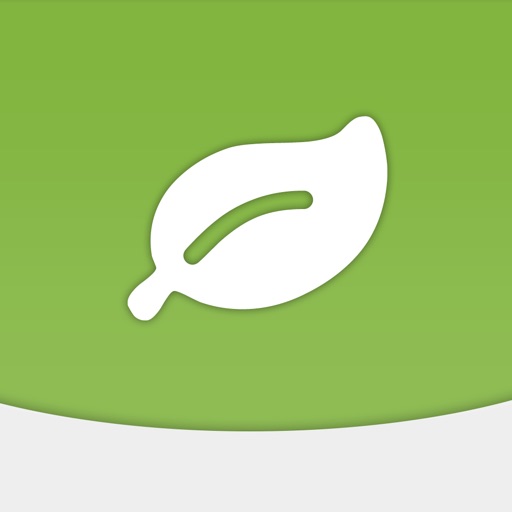 Vato Leaf - Envato Sales Tracker Icon