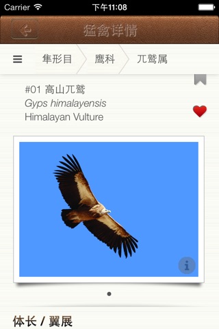 北京猛禽识别 screenshot 3