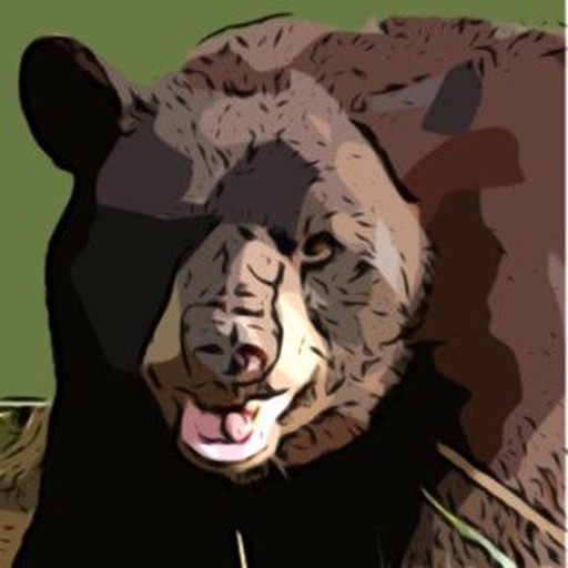 Bear 's -Sound Effects, Ringtones and Alerts