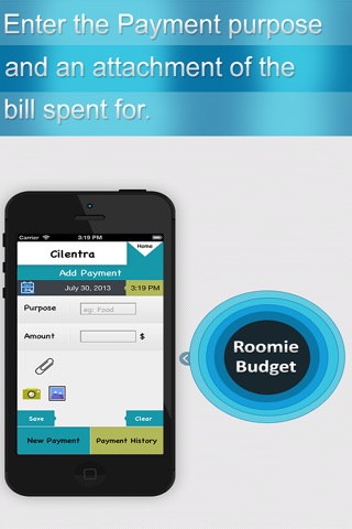 Roomie Budget Pro screenshot 2