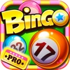 A Bingo Casino HD Pro