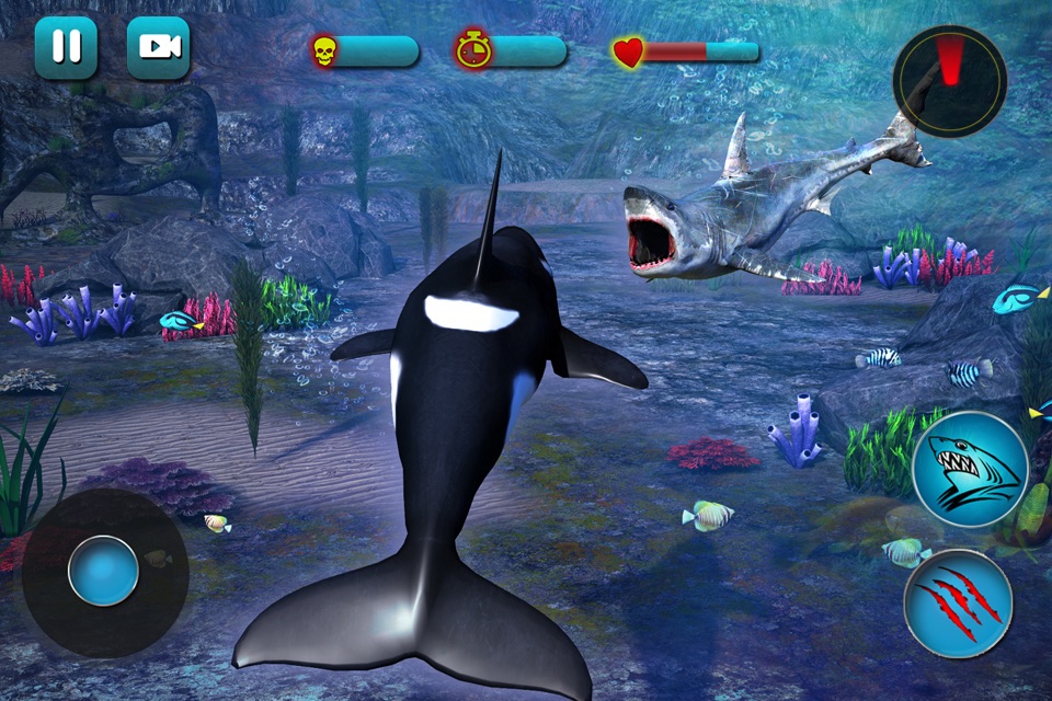 Killer Whale Beach Attack 3D screenshot 3