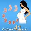 Pregnancy Weeks 41