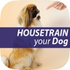 The Untold Secret to Mastering Indoor House Training for Dog in Just 7 Days