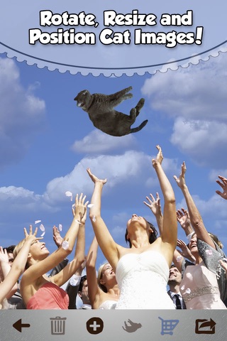 Brides Throwing Cats - The Best Wedding Planner Photos Featuring Flying Cat and Kitten Bouquets screenshot 2