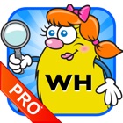 WH Question Cards - Pro: Who, What, When, Where, Why