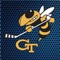 The OFFICIAL app for Georgia Tech Hockey