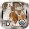 Deer Hunter Crossing Gold Pro