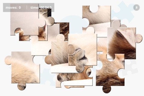 PuzzleFUN Soft Kitties screenshot 2