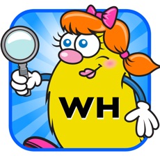 Activities of WH Question Cards: Who, What, When, Where, Why