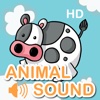 Animals Sound Book