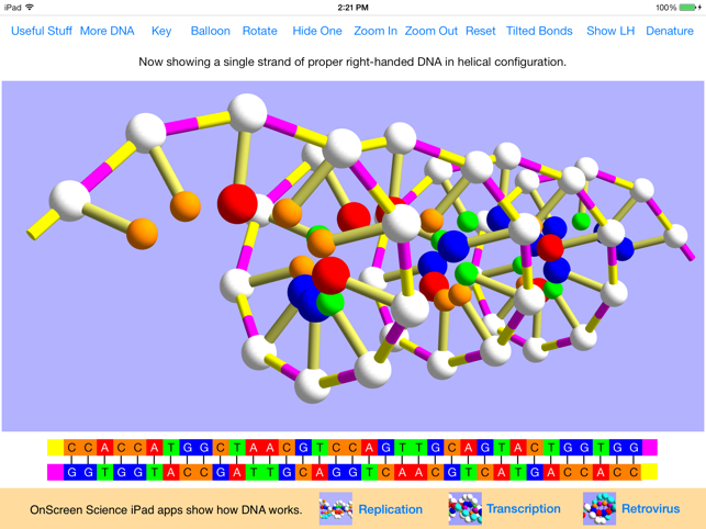 OnScreen DNA Model(圖5)-速報App