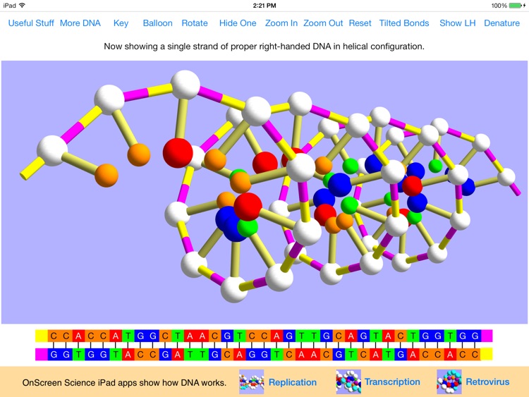 OnScreen DNA Model screenshot-4