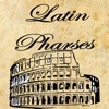 Most Famous Latin Phrases