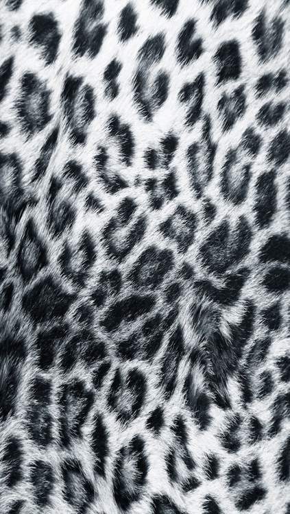 Skin My Skin - Animal Print