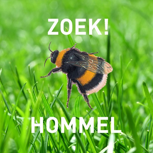 Zoekkaart Hommel icon