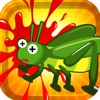 A Cricket Chase And Smash Puzzle Brain Teaser Game Free