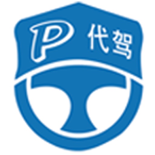 P代驾司机 icon