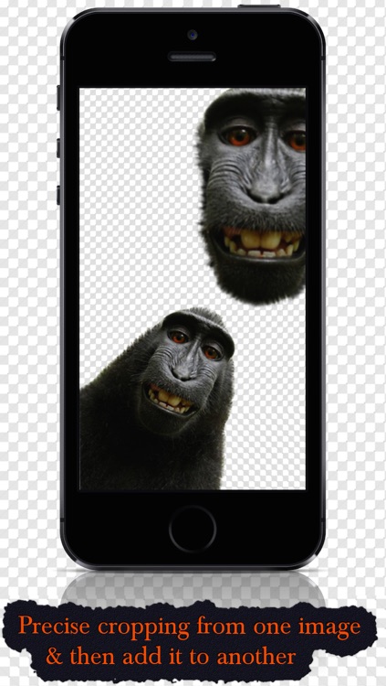 Cut and Paste - Copy part of one image and place it into another one of your photos
