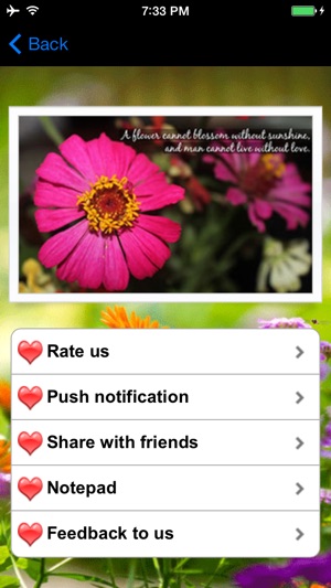 Flower Photo Frames Deluxe(圖3)-速報App