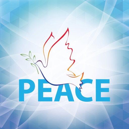 Peace Expert Academy