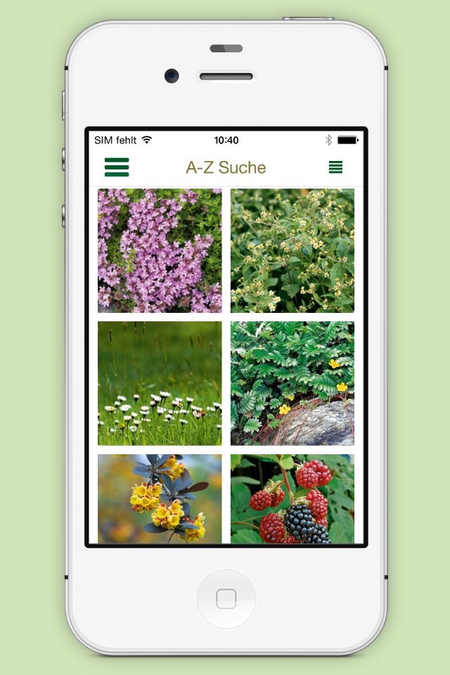 Wildkräuter & Beeren bestimmen – entdecken Sie heimische Kräuter und Beeren in Natur und Garten screenshot 2