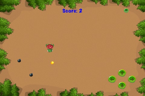 Turtle Time Bomb Run - Speedy Animal Survival Game Paid screenshot 3