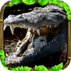 Wildlife Simulator Crocodile