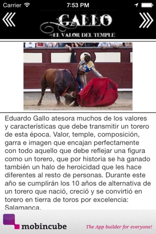 Eduardo Gallo Torero screenshot 4