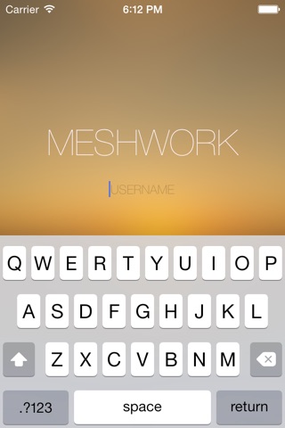 Meshwork screenshot 2
