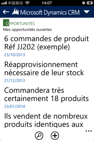 Dynamics CRM for phones express screenshot 3