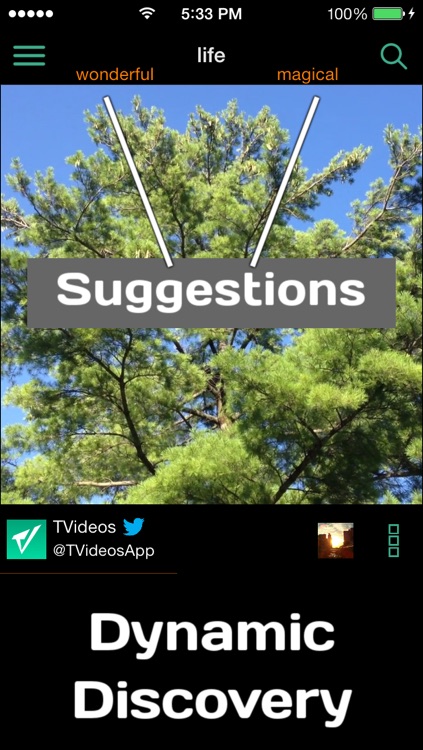 TVideos - Discover Vine Videos on Twitter and Watch as TV