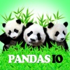 Pandas IO