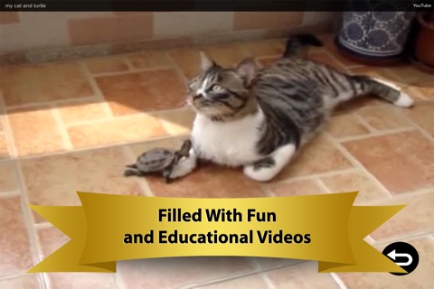 Cats - Big & Small, Housecats, Cheetas, Lions, Panthers & Leopards Videos, Games, Photos, Books & Interactive Activities for Kids by Playrific screenshot 3