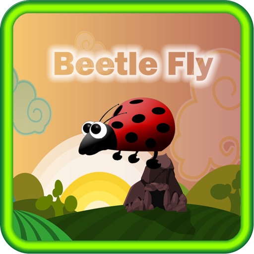 Beetle fly iOS App