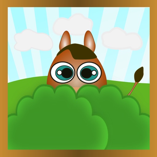 Hiding Animals iOS App