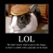 From the creators of Funny Pics, comes another large and funny collection of images - Demotivational Pics
