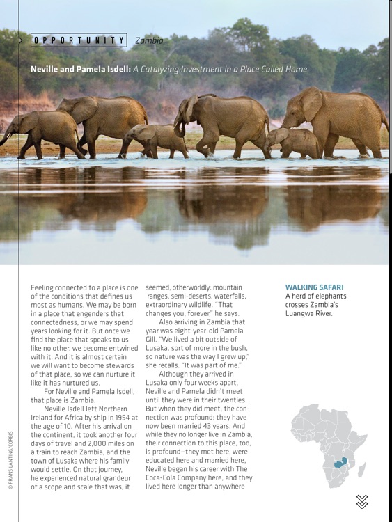 World Wildlife Magazine