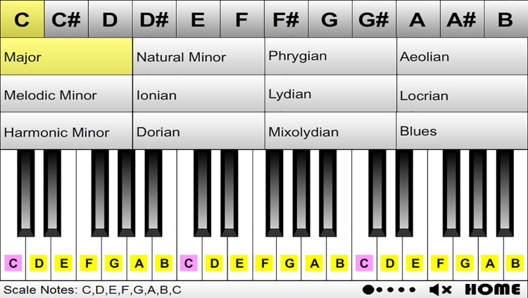 Scales of Piano (60 Scales Reference)