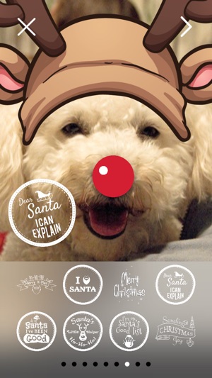 Christmas Cheer: FREE Photo Stickers App(圖5)-速報App