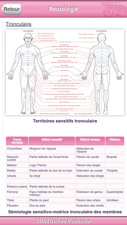 SMARTfiches Neurologie Free screenshot-3