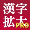 漢字拡大Pro | 手書き入力機能付き