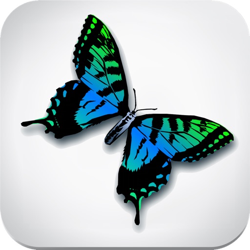 Butterfly Field Guide icon