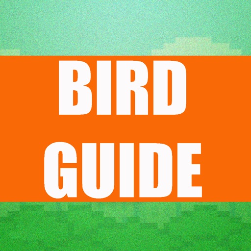 Guide and Training App 2 for All Tiny Flappy Bird Games by CartoonMobile Icon